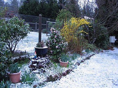 More garden snow in Blackheath